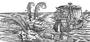 Animalium Prints: Gessner, Sea Monsters or Whales, 16th Century