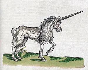 Beast Prints: Gessner, Unicorn, Legendary Creature