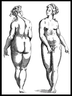 Trait Prints: Giambattista della Porta, Physiognomy, 1586