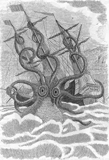 Octopodes Prints: Giant Squid Attacking Ship, 1801