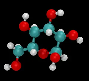 Atom Prints: Glucose Molecule