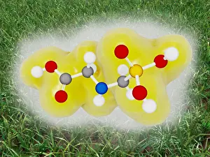 Dangerous Prints: Glyphosate molecule