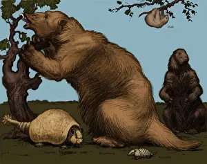 Sloth Prints: Glyptodon and Megatherium, Extinct Fauna