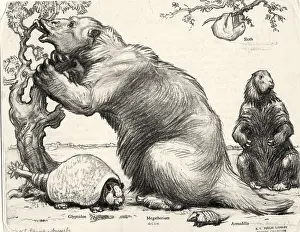 Sloth Prints: Glyptodon and Megatherium, Extinct Fauna