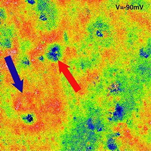 Interference Prints: Graphene, Interference Patterns, STM
