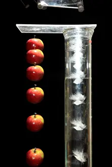 Force Prints: Gravity Comparison