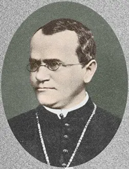 Johann Prints: Gregor Mendel, Father of Genetics