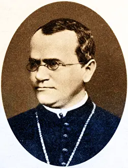 Johann Prints: Gregor Mendel, Father of Genetics