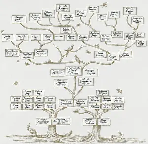 Lineage Prints: Guggenheim Family Tree