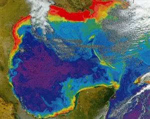 Satellite Prints: Gulf of Mexico 'Dead Zone'