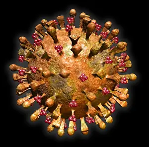 Contagion Prints: H5N1 Virus