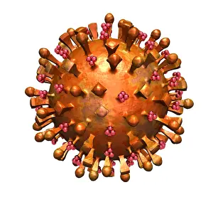 Contagion Prints: H5N1 Virus