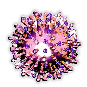 Virus Prints: H5N1 Virus