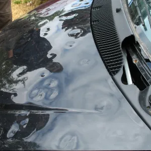 Stone Prints: Hail Damage