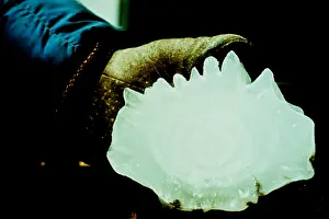 Frozen Prints: Hailstone