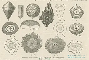 Frozen Prints: Hailstones
