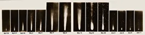 Tail Prints: Halley's Comet, 1910