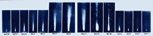 Tail Prints: Halley's Comet, 1910