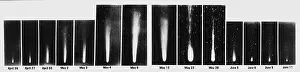 Tail Prints: Halley's Comet, 1910
