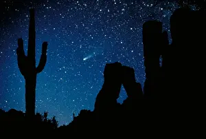 Astronomy Prints: Halley's Comet
