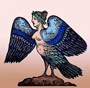 Folklore Prints: Harpy, Legendary Creature