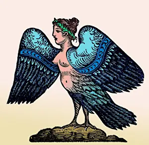 Folklore Prints: Harpy, Legendary Creature
