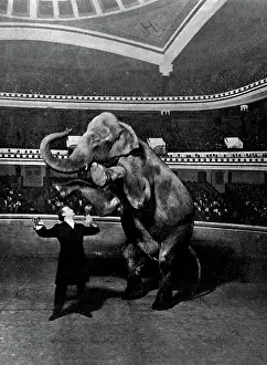 Magic Prints: Harry Houdini, Vanishing Elephant, 1918