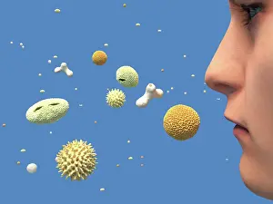 Face Prints: Hay fever, artwork