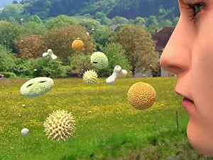 Face Prints: Hay fever, artwork