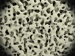 Density Prints: Healthy bone tissue, Illustration