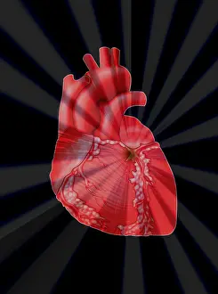 Attack Prints: Heart Attack, Conceptual Illustration