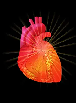 Attack Prints: Heart Attack, Conceptual Illustration