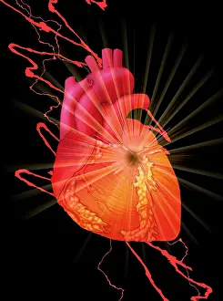 Attack Prints: Heart Attack, Conceptual Illustration