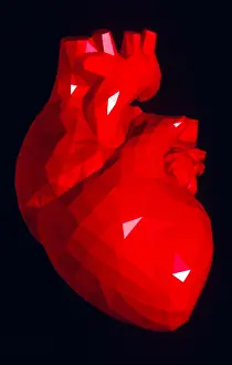 Design Prints: Heart model