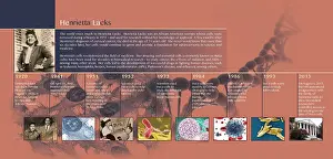 Research Prints: HeLa Timeline, Infographic, Biomedical Cancer Research, History