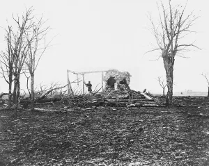 Bulls Prints: Henry House Ruins