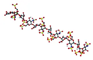 Model Prints: Heparin, Molecular Model