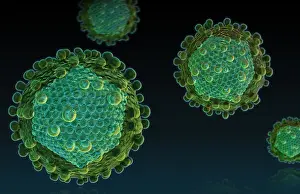 Pathogen Prints: Hepatitis C Virus