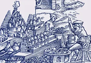 Flask Prints: Herbalist Workshop, 16th Century