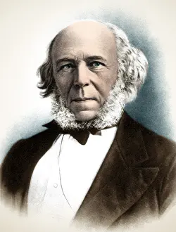 Theorist Prints: Herbert Spencer, English Polymath
