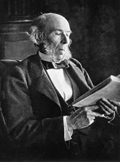 Theorist Prints: Herbert Spencer, English Polymath
