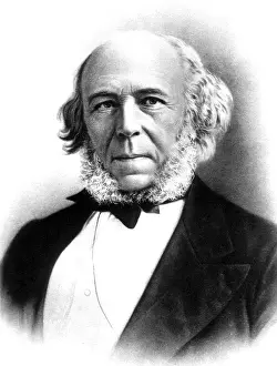Theorist Prints: Herbert Spencer, English Polymath