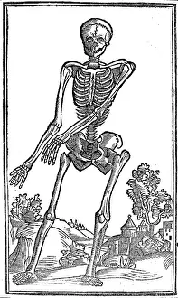 Monochrome Prints: Historical Anatomical Illustration