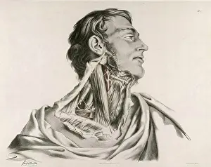 Neck Prints: Historical anatomical illustration