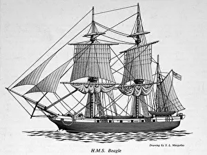 Origin Prints: HMS Beagle