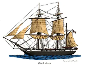 Origin Prints: HMS Beagle