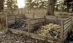 Garden Prints: Home Compost