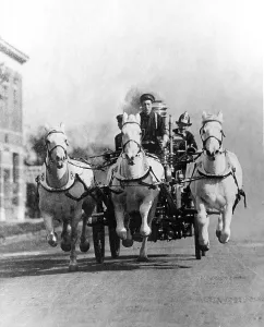 : Horse-drawn Fire Truck, History C. 1890s-1900s
