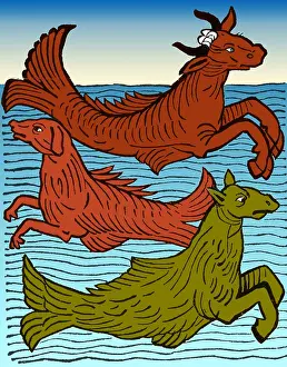Fabled Prints: Hortus Sanitatis, Legendary Sea Creatures, 1491