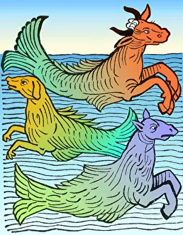 Monster Prints: Hortus Sanitatis, Legendary Sea Creatures, 1491